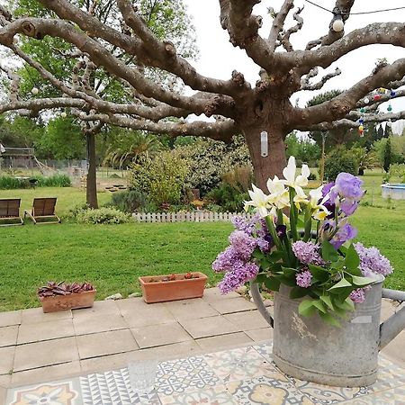 Roulotte En Bois Sud France Guest House Le Soler Luaran gambar