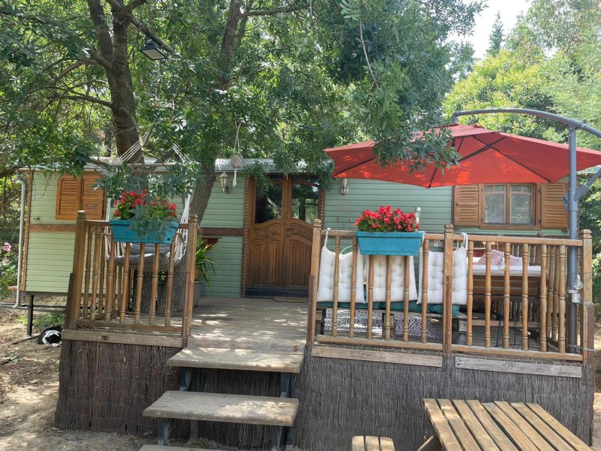 Roulotte En Bois Sud France Guest House Le Soler Luaran gambar