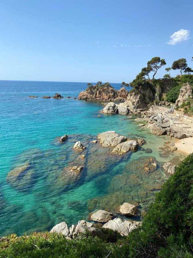 Roulotte En Bois Sud France Guest House Le Soler Luaran gambar