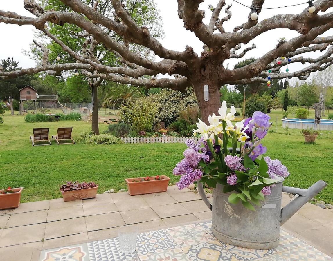 Roulotte En Bois Sud France Guest House Le Soler Luaran gambar