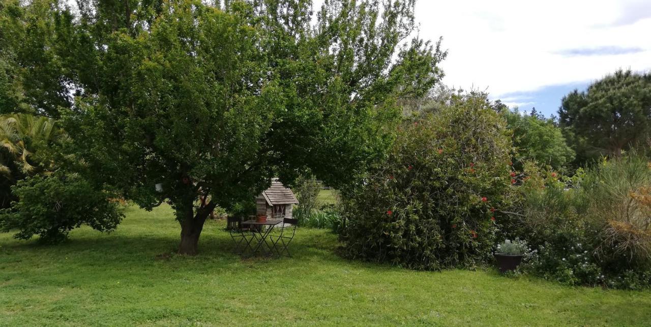 Roulotte En Bois Sud France Guest House Le Soler Luaran gambar